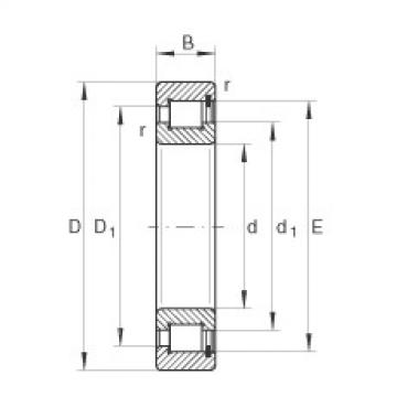 Bearing SL181888-E INA