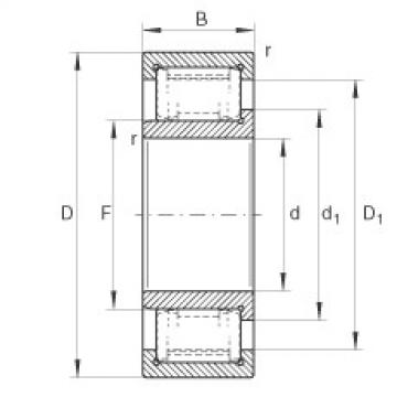 Bearing ZSL192324-TB INA