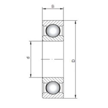 Bearing 618/1250 CX