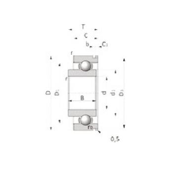 Bearing 43/LJ25 RHP