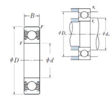 Bearing 60/22VV NSK