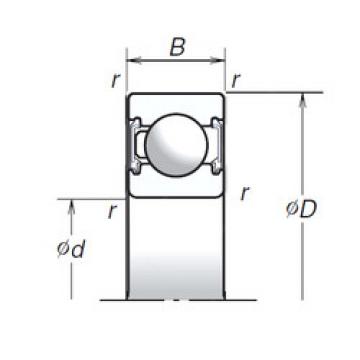 Bearing 6004T1XVV NSK