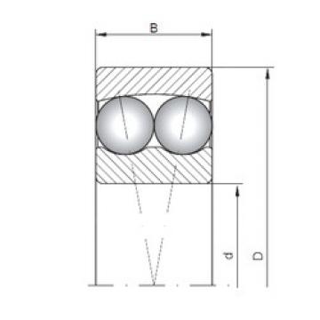 Bearing 1213 CX