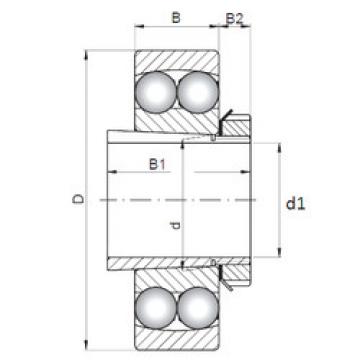 Bearing 2209K-2RS+H309 CX