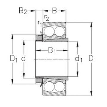 Bearing 1320-K+H320 NKE