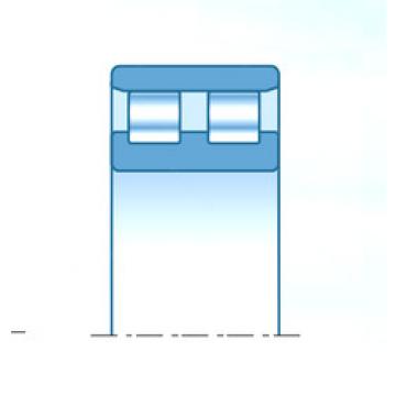 Bearing NNF38/560C1NAP4 NTN