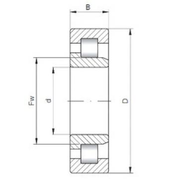 Bearing NJ10/800 CX