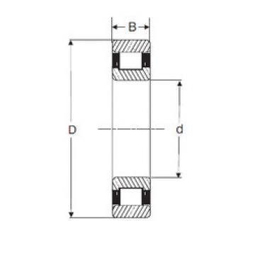 Bearing RXLS 9.1/2 SIGMA