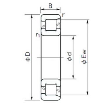 Bearing NF 244 NACHI