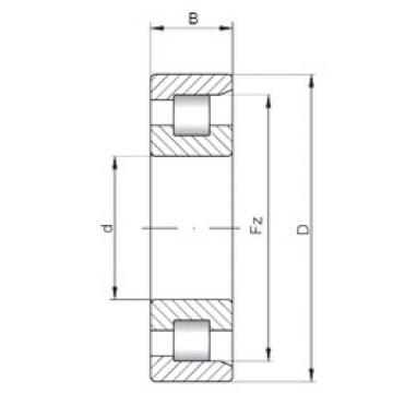 Bearing NF19/600 ISO