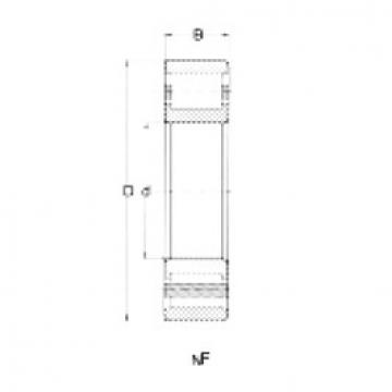 Bearing NF317 CRAFT