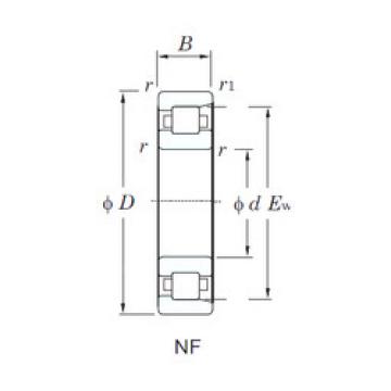 Bearing NF216 KOYO