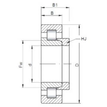 Bearing NH1034 CX