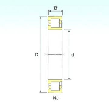 Bearing NJ 205 ISB