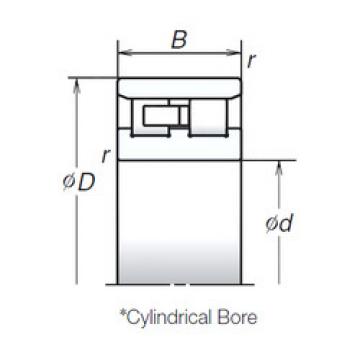 Bearing NN3010TB NSK