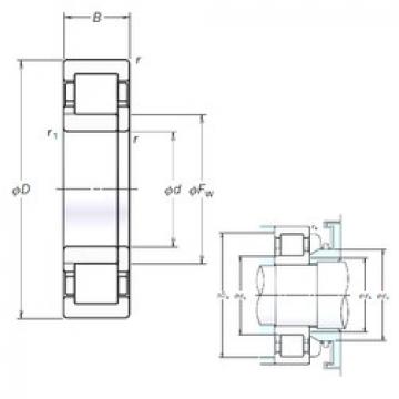 Bearing NUP321EM NSK