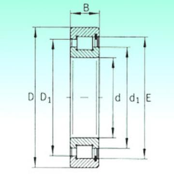 Bearing SL181848 NBS