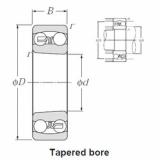 Bearing 1205SK NTN