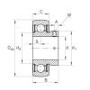 Bearing AY25-NPP-B INA