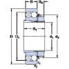 Bearing 2210 EKTN9 + H 310 SKF