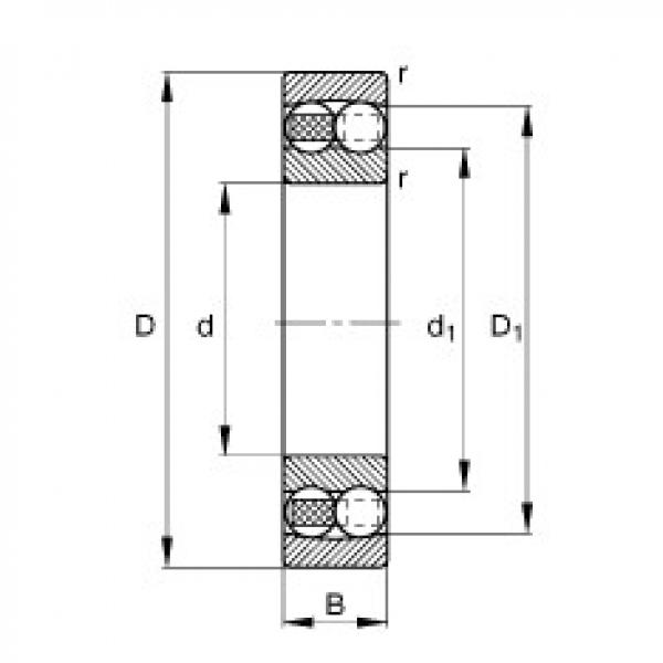 Bearing 1206-TVH FAG #1 image