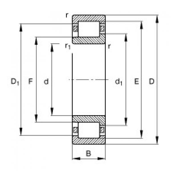 Bearing NJ209-E-TVP2 FAG #1 image