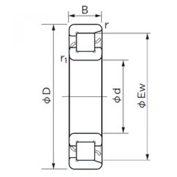 Bearing NF 1030 NACHI #1 image