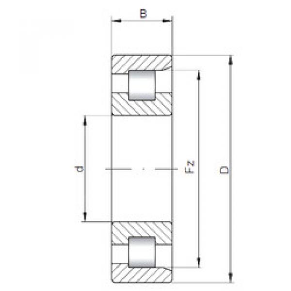 Bearing NF20/1250 CX #1 image