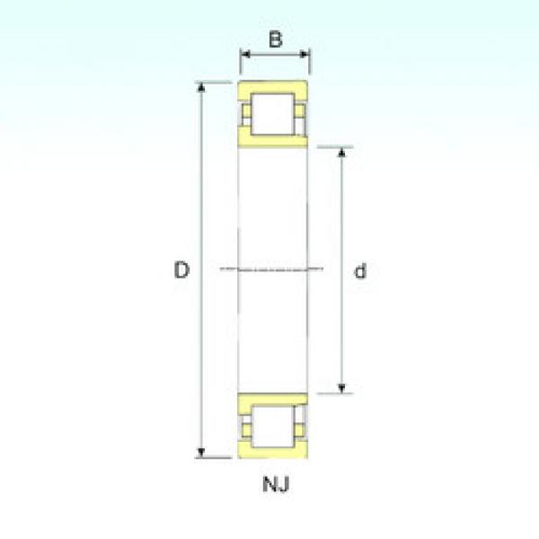 Bearing NJ 205 ISB #1 image