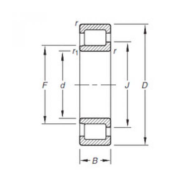 Bearing NJ206E.TVP Timken #1 image