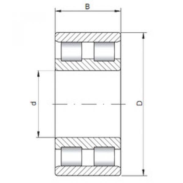 Bearing NN3007 CX #1 image