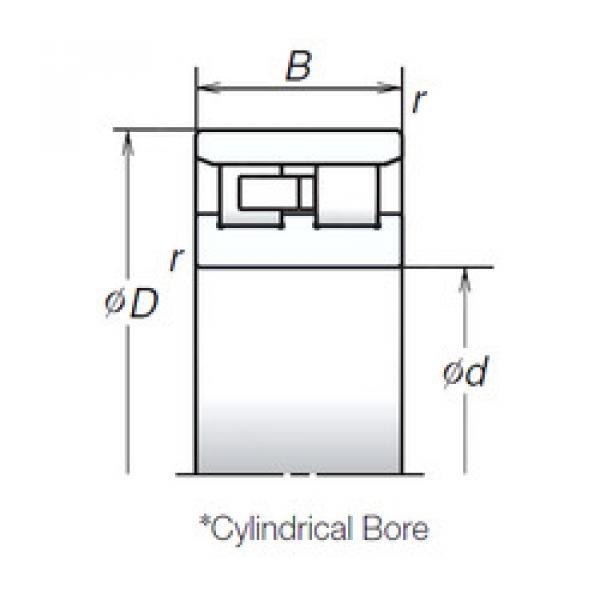 Bearing NN3010TB NSK #1 image