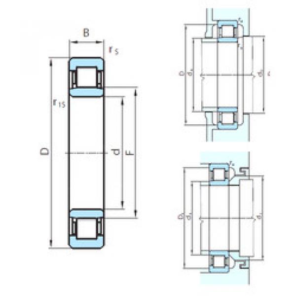 Bearing PSL 412-305 PSL #1 image