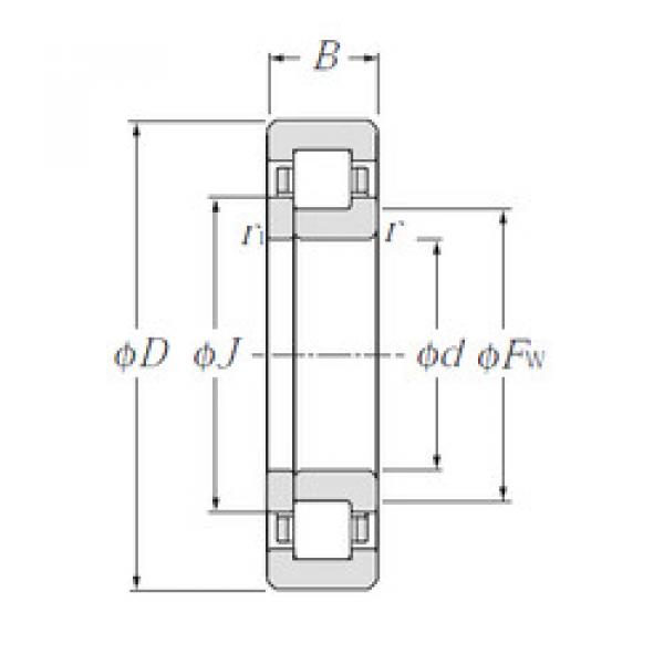 Bearing NUP311E CYSD #1 image