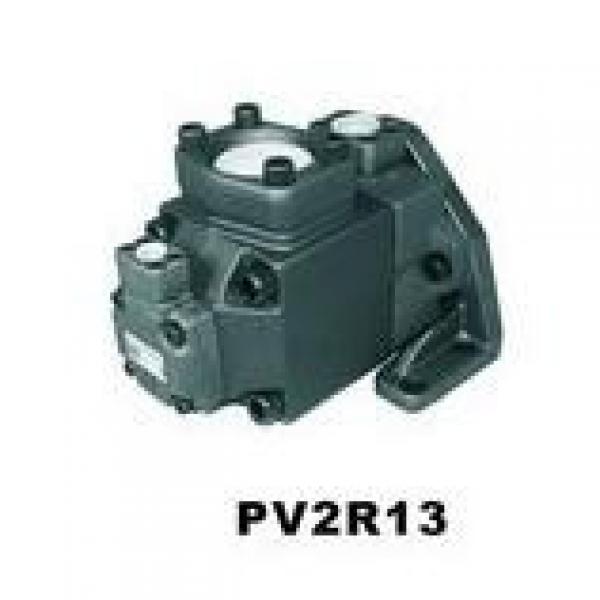 FURNAN PV2R1-6L #1 image