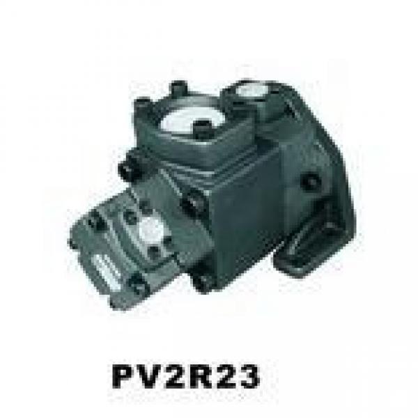 FURNAN PV2R13-116/66 #1 image